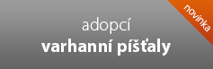 Adopce varhann p횝aly